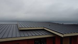 Best Steel Roofing  in Sierra Ridge, CO